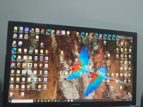 Monitor led samsung - monitor, 19