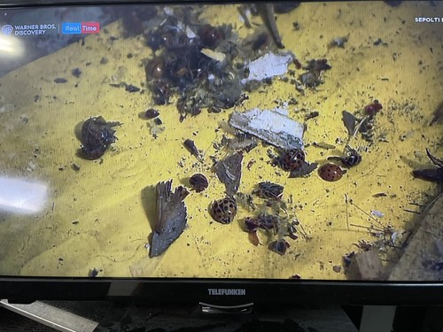 Led e monitor - tv,